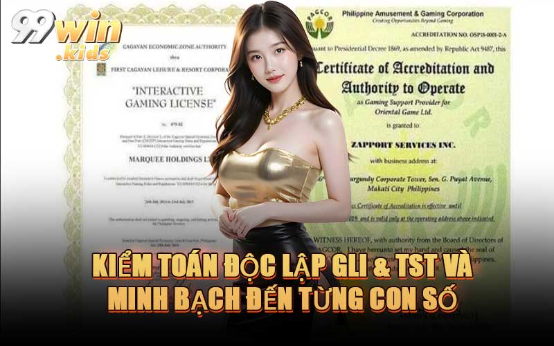 Kiểm Toán Độc Lập GLI & TST Và Minh Bạch Đến Từng Con Số
